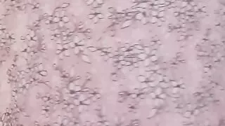 Modeling a little for you