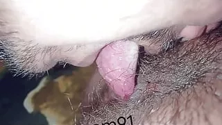 Homemade House wife fucking hard