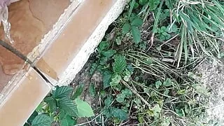 quick desperation pee on my father's terrace