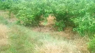 aunty with boy motor pumb set room in sex