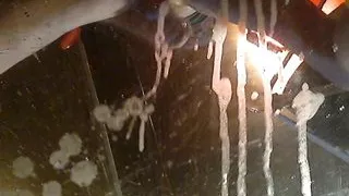 glass of cum john nobles