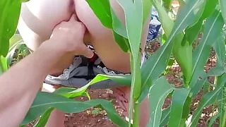 My Pussy Swallowed the Biggest Corn Ever Found in Cornfield