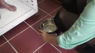 old cage piss drinking slave