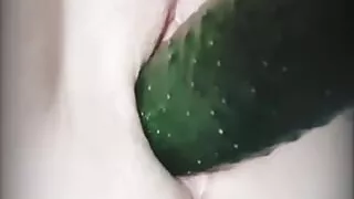 My wife fucks herself with a cucumber.