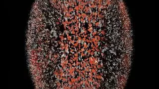 dominas whipping slaves