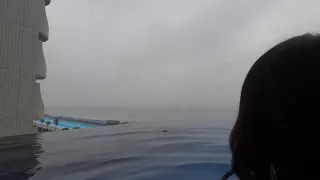 0003609_Japanese_Censored_MGS_19min