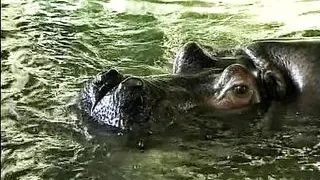 Blonde German slut giving her tight holes in the public