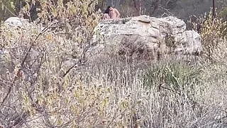 Couple Having Sex Outdoors...