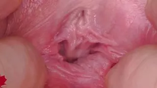 The Mistress's Cunt Is Stretched. Extreme Close-up of Her Wide Open Pussy. Main View