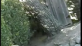 Randy chicks by the pool go muff diving and insert dildo in cunts