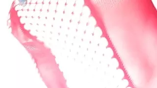 Red Lingerie Stripping