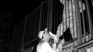 Sniffing Sneaker and Socks at Sk8park in the Night