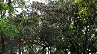 Sol29x this naughty blonde showing off in the middle of a public square