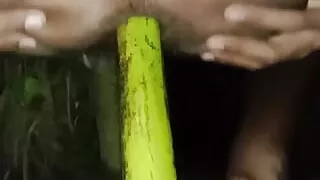 Desi viral sex video