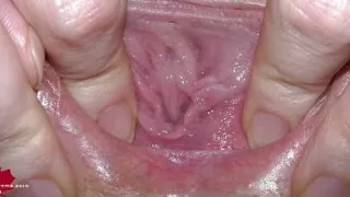 Outer anatomy of a pussy with large labia in close-up.