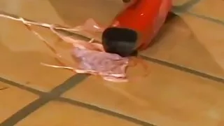 Wild Marey Carey uses her dildo toys in lesbian fun