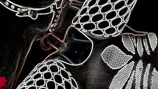 Close up of Pussy Fucking. Cum Squirts on Lilith's Labia and Clit. Alternative View 2.