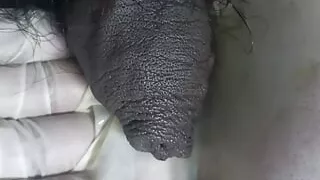 hot wife handjob to husband