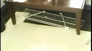 Sexy Giana chats about her dominatrix lust behind the scenes