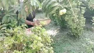 Please, Don't fuck me! Indian Village Sex