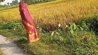 Desi paddy harvesting, new daughter-in-law's father-in-law fucked. Hindi conversation. HQ XDES