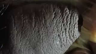 hot stepdad masturbating to stepson