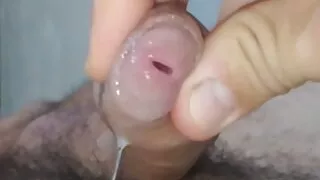 Collecting dick juice for the production of homemade whey.