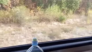 Slut Traveling Companion Shows Her Big Tits on the Train