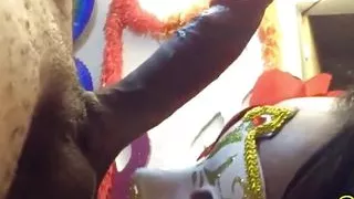 Brazilian Big Ass Married Having Hard Sex with a Big Dick 2