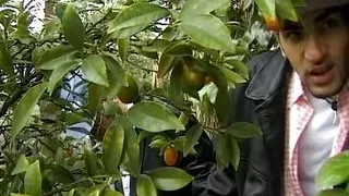 German MILF with blonde hair getting pounded by two hard peckers