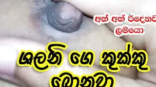 Srilankan kukku Shalani boobs sucking and fucking asian girl sinhala