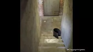 Hidden amateur blowjob