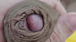 A WET COCK - my onlyfans: nutboyz