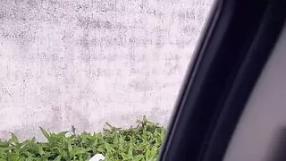 Busty Latina Babe Kesha Ortega Fucks Guy in Backseat of Car