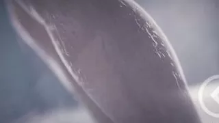 Forged3DX Intense anal sex tasty hot big ass cum dripping hard sex sweet anus gaping hard fuck sweet intense pleasure