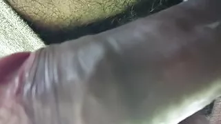 Jangal me dikha mota land...