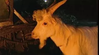 Anal Tales - Episode 1