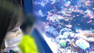 0003779_Japanese_Censored_MGS_19min