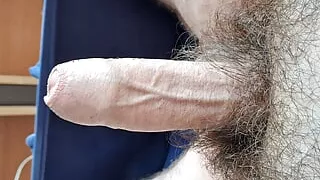 big hairy bear masturbation solo no cum