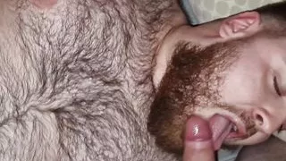Hairy bear trio fucking
