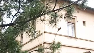 Sesso Italiano Doc (Full Movie)