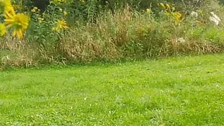 Running naked along a busy highway