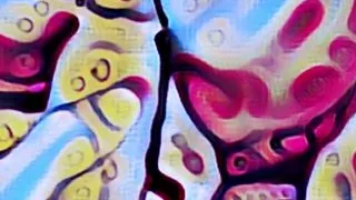 Stepdad, I'm in my days, we'll have to have anal sex