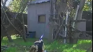 Sexy blond babe want some double penetration with her man's hands