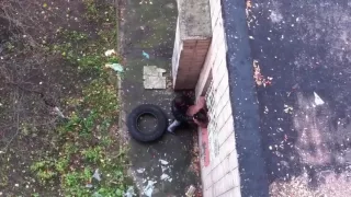 Amateur Couple Caught Fucking Outdoors