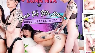 TGIRLSHOOKUP: Bark For Me Like A Good Little Bitch!