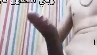 Makrahtch chi whda ndkhlo fiha kaml ????