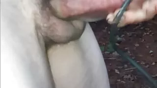 Internal load for the pump in the woods