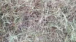 rahar ka khet me sex indian boy xxx video