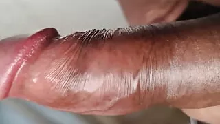 Indian desi boys sex